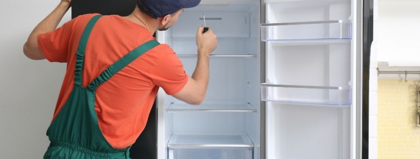 Bahçelievler Elektrolux Servisi