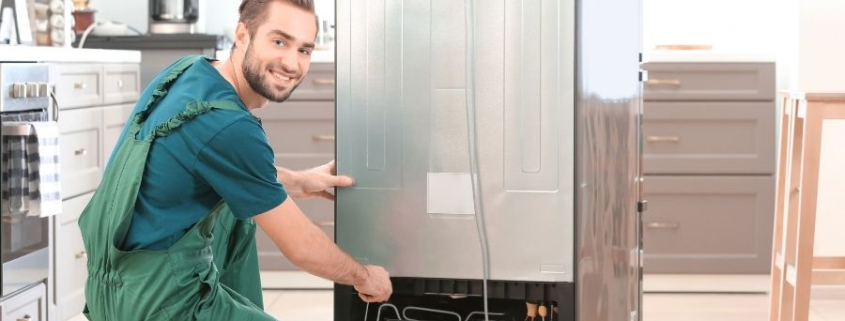 Bakırköy Elektrolux Servisi