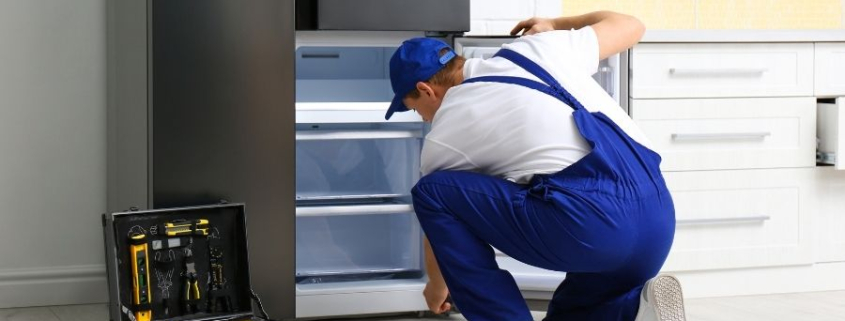 Büyükçekmece Elektrolux Servisi